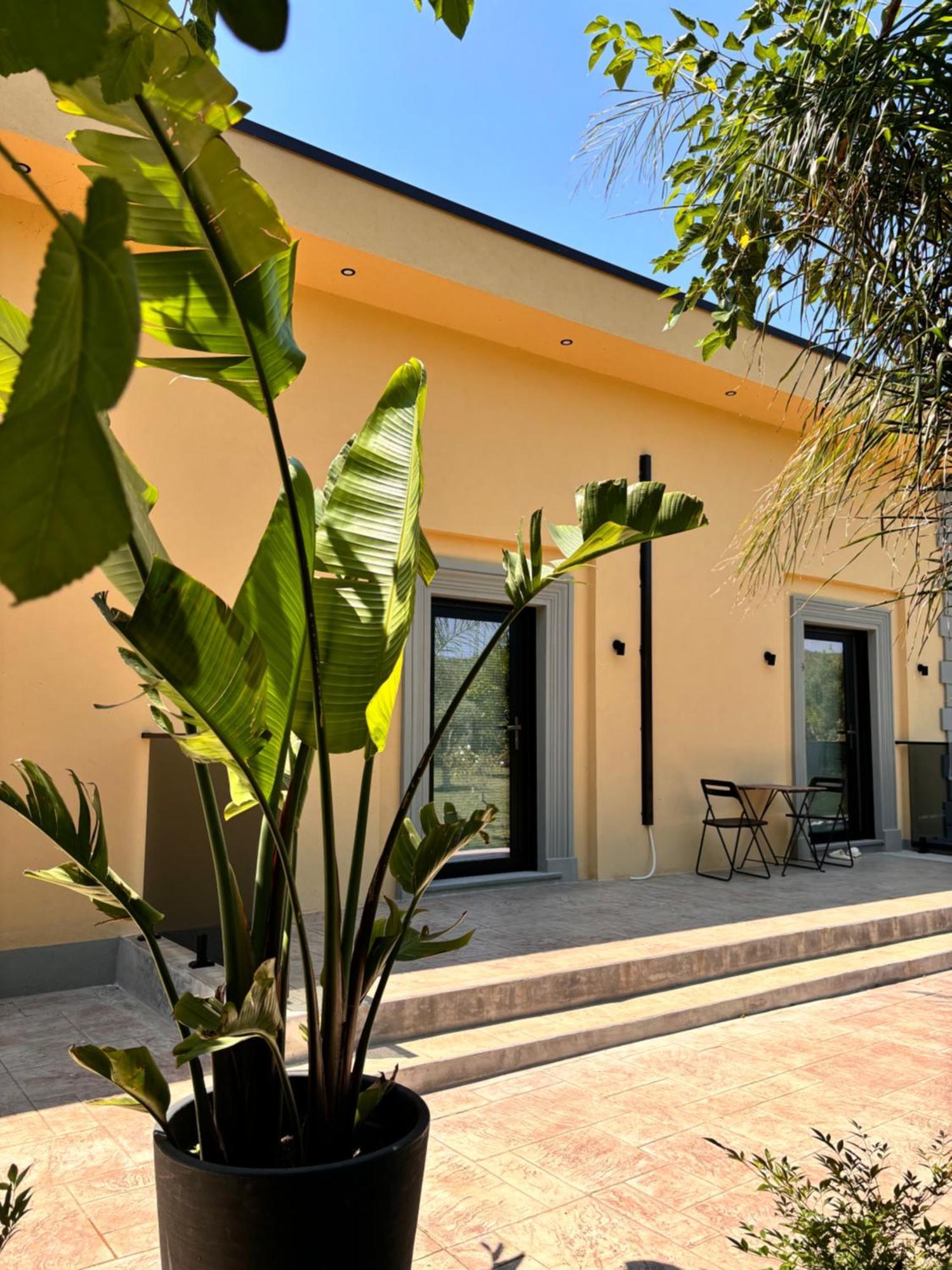 Shehu Appartement *